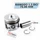 Поршень с кольцами стандартный Renault Kangoo 1.5 Dci 2001- 2008 76mm - палец 25mm ! | NPR