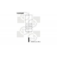Клапан впуск VW T5 2.0TDI 09- | BGA