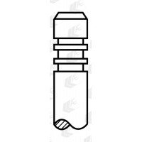 Клапан (выпуск) VW T5 2.0TDI 09- | AE