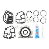 Комплект прокладок нижний VW T5 1.9 TDI (63 / 77 kw) 2003- | VictorReinz (Германия)