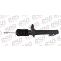 Амортизатор передний Ford Transit RWD 00- 06 | BSG (Турция)