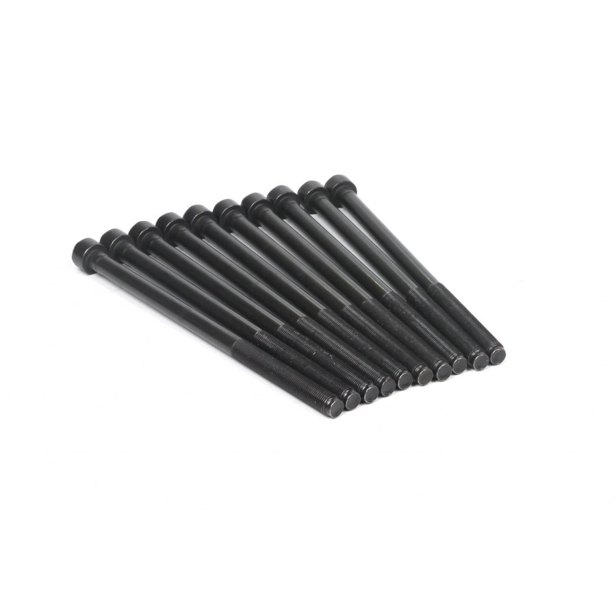 Reinz 14-35738-01 - Комплект болтов ГБЦ на Фиат Добло 1.9D / JTD / Multijet